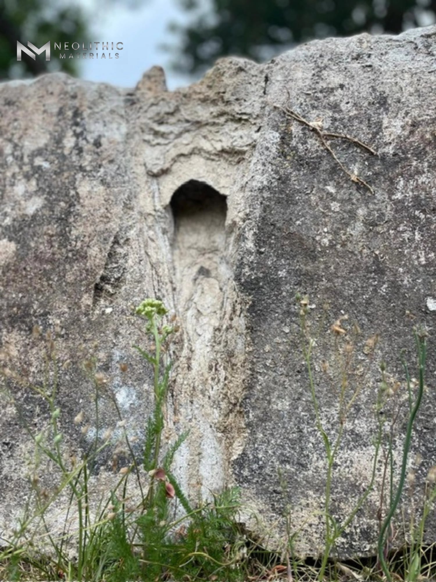 French Antique Stone Tree - Image 1