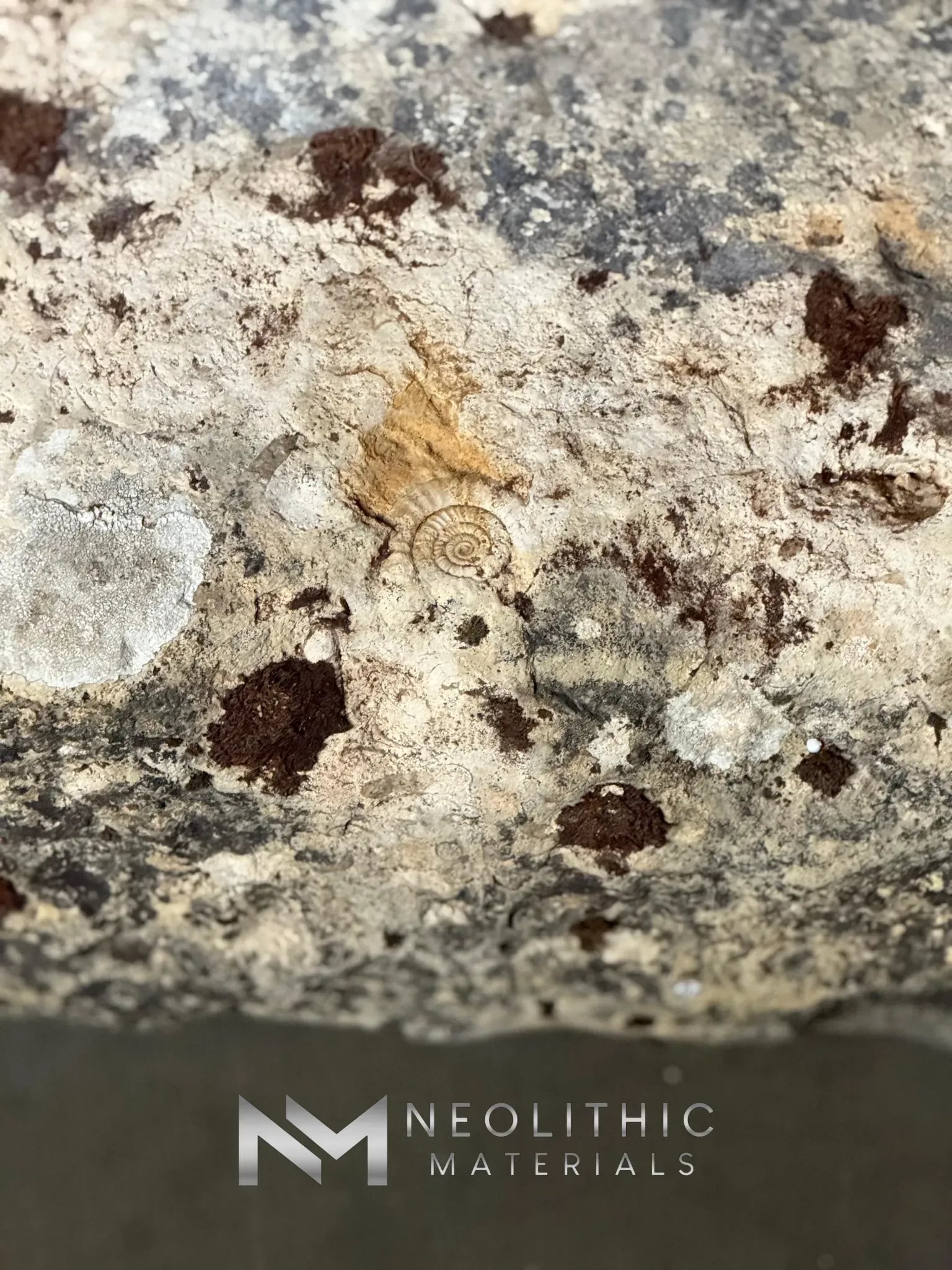 French Antique Limestone Wellhead - Image 8