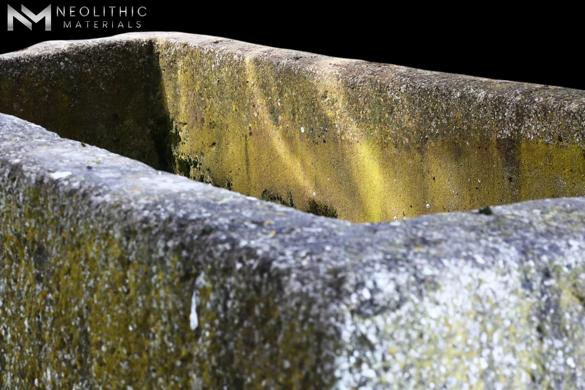  - Image 7